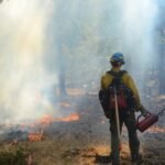 2025 on track to beat the UK record for wildfires, firefighters warn - None