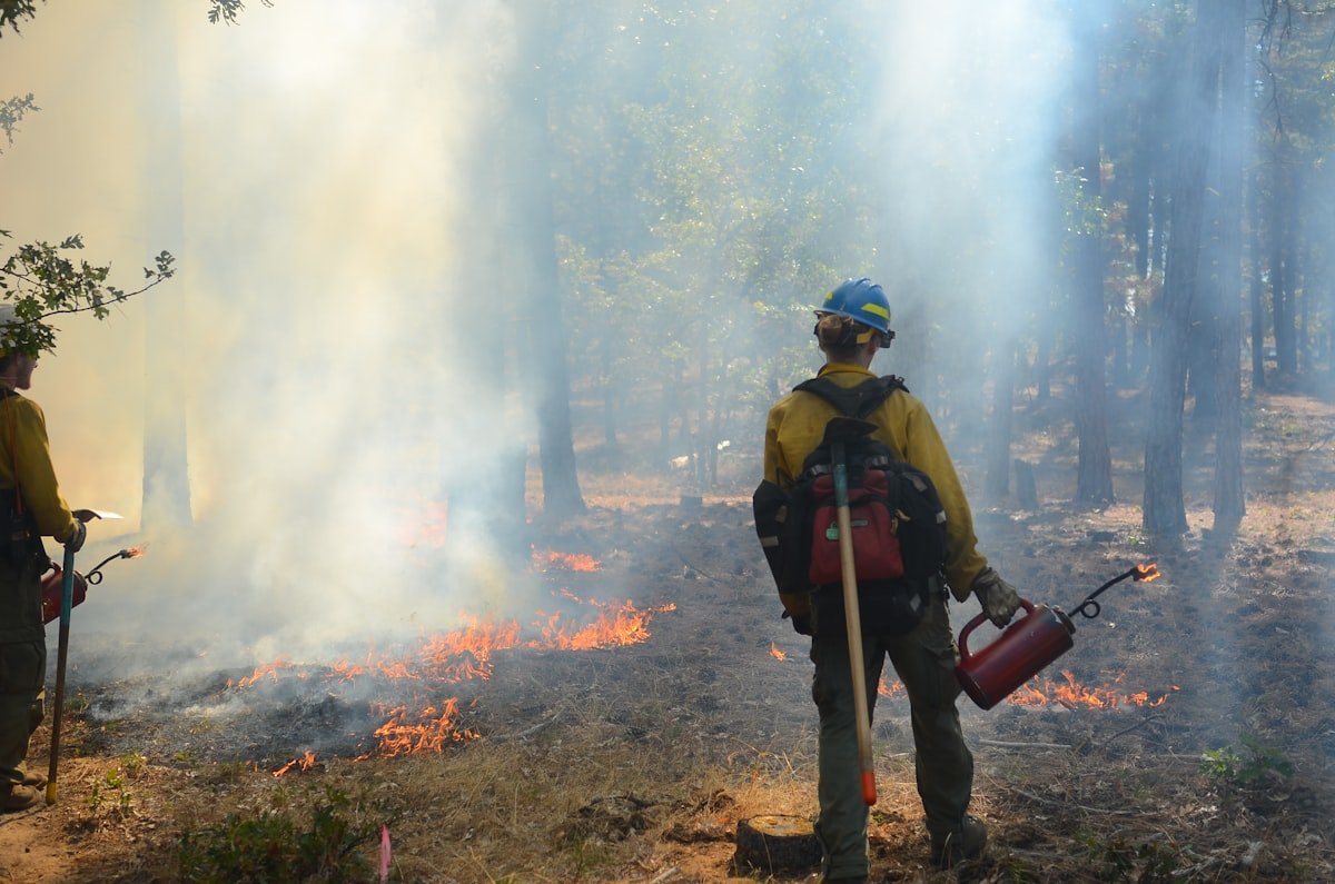 2025 on track to beat the UK record for wildfires, firefighters warn - None