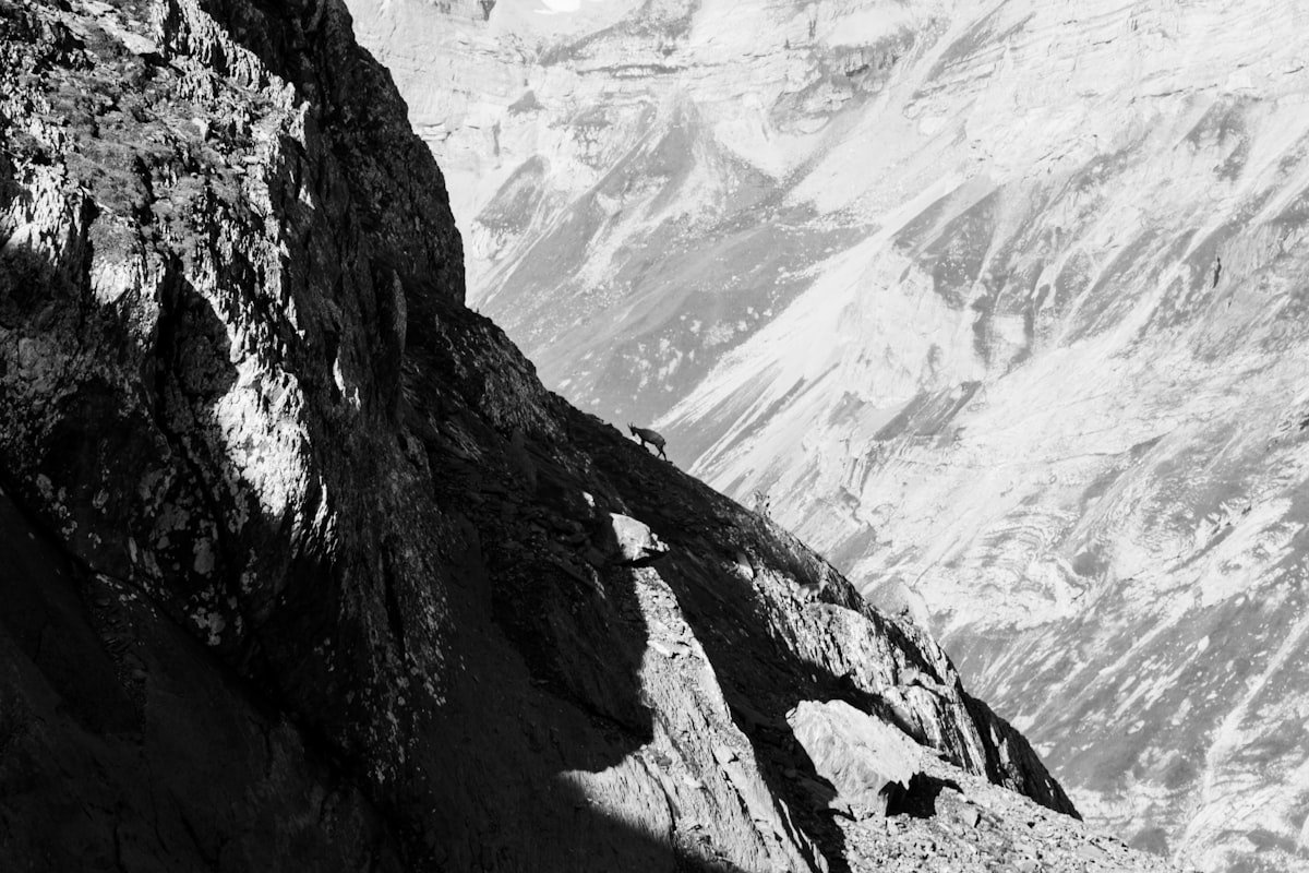 German biathlete Laura Dahlmeier dies in mountaineering accident in Pakistan - None