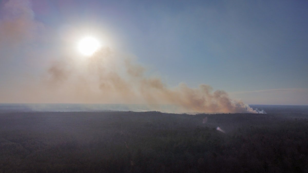 New Brunswick wildfires: two areas are burning out of control, with no rain in sight - Controlled burn | Dallas County, AL
