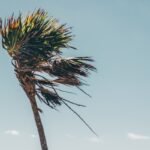 Storm Floris to cause travel disruption as wind warnings upgraded - Whos in Whoville