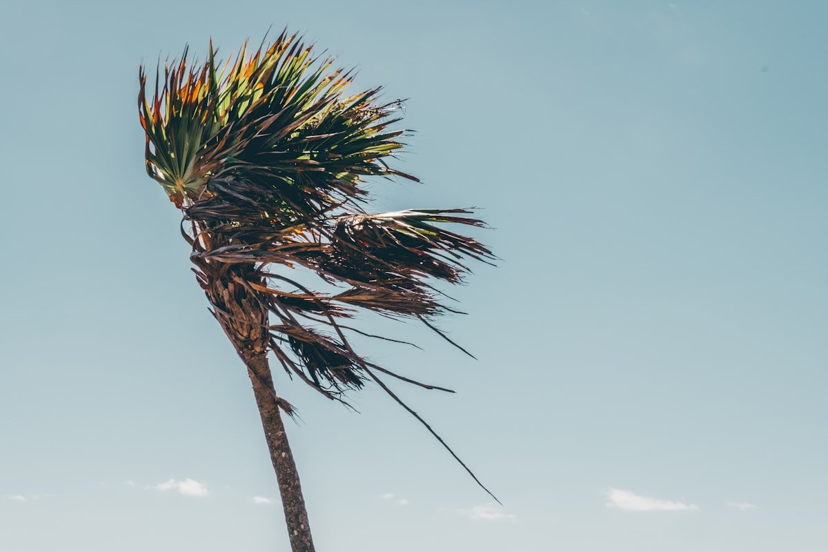 Storm Floris to cause travel disruption as wind warnings upgraded - Whos in Whoville