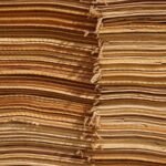US House panel subpoenas Epstein files from Trump administration - None